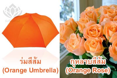 ความหมายร่มสีส้ม