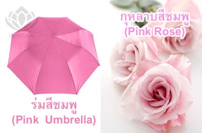 ความหมายร่มสีชมพู