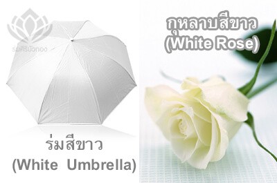ความหมายร่มสีขาว
