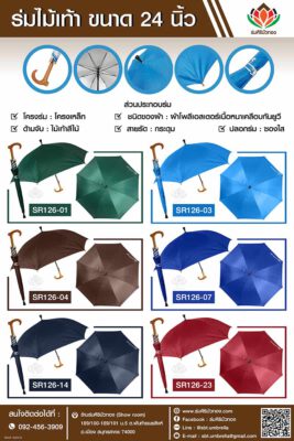 catalog-stick-color-wood-handle-umbrella-24inch