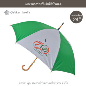 ร่มพรีเมียม 24 นิ้ว