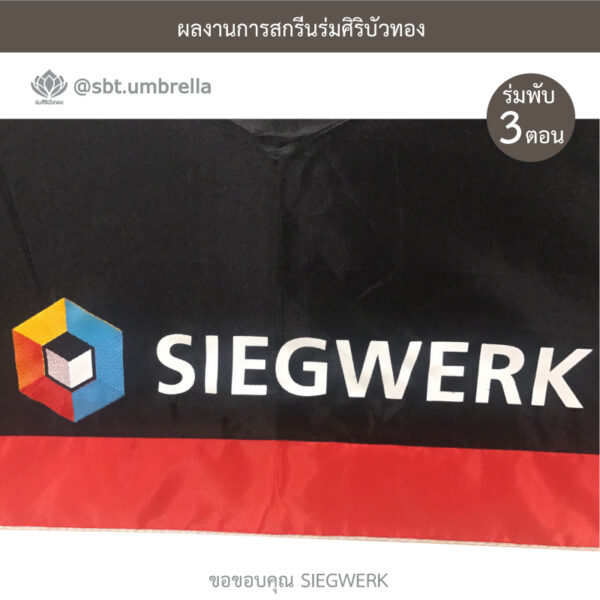 ร่มขายส่ง งานสกรีนร่ม แบบเท๋ๆ