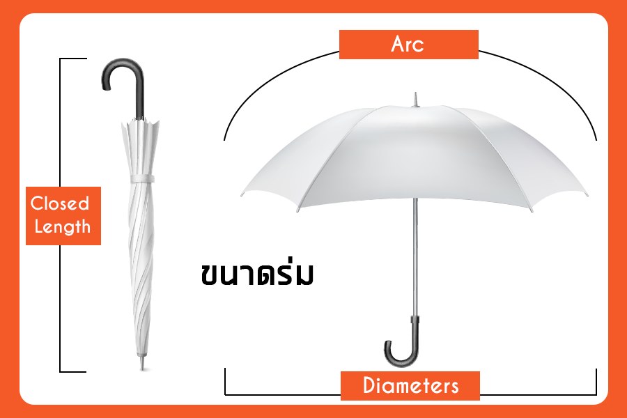 4.ขนาดร่ม