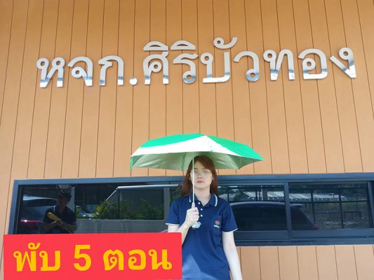 ขนาดร่มพับ5ตอน