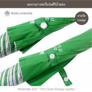 ร่มพรีเมียม ร่มตอนเดียว ขนาด 24 นิ้ว สีเขียว สกรีน AEC