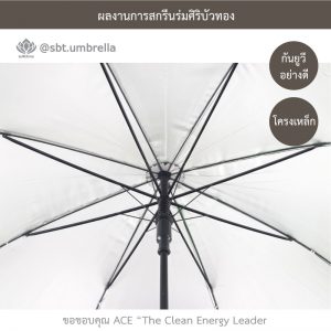 ร่มพรีเมียม ร่มตอนเดียว ขนาด 24 นิ้ว สีเขียว สกรีน AEC