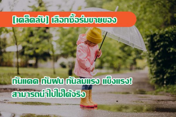 [เคล็ดลับ] เลือกซื้อร่มขายของ กันแดด กันฝน กันลมแรง แข็งแรง! สามารถนำไปใช้ได้จริง
