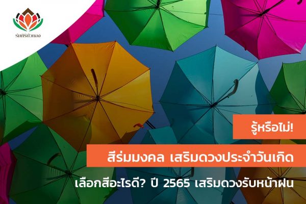 รู้หรือไม่! สีร่มมงคล เสริมดวงประจำวันเกิด เลือกสีอะไรดี? ปี 2565 เสริมดวงรับหน้าฝน