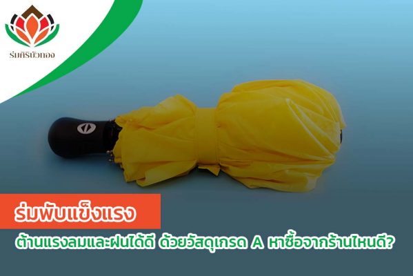 แนะนำ ร่มพับแข็งแรง ต้านแรงลมและฝนได้ดี ด้วยวัสดุเกรด A หาซื้อจากร้านไหนดี?