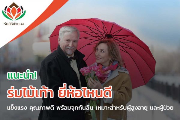 แนะนำ! ร่มไม้เท้า ยี่ห้อไหนดี แข็งแรง คุณภาพดี พร้อมจุกกันลื่น เหมาะสำหรับผู้สูงอายุ และผู้ป่วย