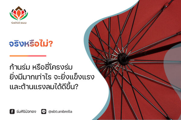จริงหรือไม่? ก้านร่ม หรือซี่โครงร่ม ยิ่งมีมากเท่าไร จะยิ่งแข็งแรงและต้านแรงลมได้ดีขึ้น?