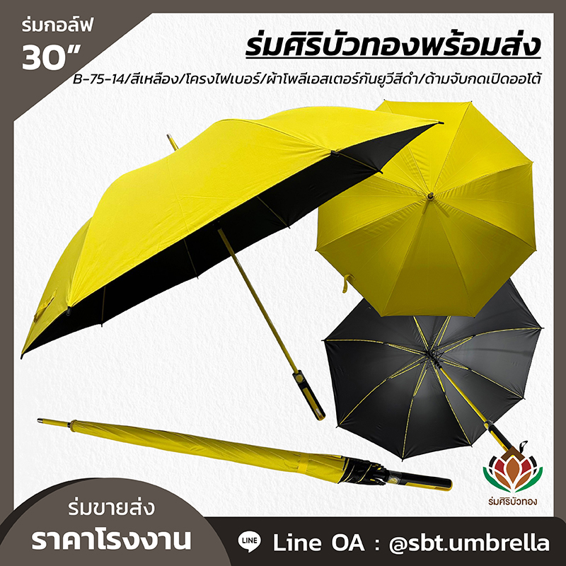 ปรากฏการณ์ร่มใหญ่กันแดดราคาหลักร้อย ทำไมถึงฮิตติดลมบนในปี 2025 ?
