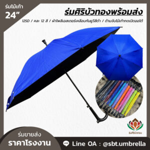 ร่มไม้เท้า ขนาด 24 นิ้ว คละ 12 สี
