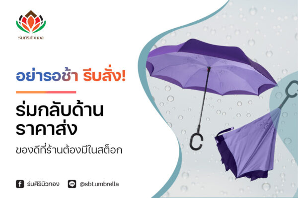 อย่ารอช้า รีบสั่ง! ร่มกลับด้านราคาส่ง ของดีที่ร้านต้องมีในสต็อก